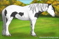 Horse Color:Black Splash Tobiano 