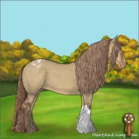 Horse Color:Liver Red Dun Appaloosa