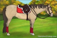 Horse Color:Amber Cream Champagne 