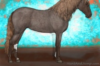 Horse Color:Liver Red Roan 