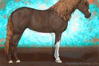 Horse Color:Liver Chestnut 