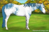 Horse Color:Watercolor White Spotted Black 