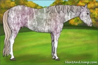 Horse Color:Silver Black Ice 