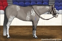 Horse Color:White Spotted Grullo Sabino Splash 