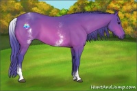 Horse Color:Watercolor White Spotted Bay 