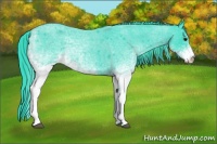 Horse Color:Watercolor White Spotted Blue Roan 