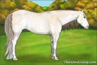 Horse Color:Brown Roan Pearl Dun Splash Rabicano