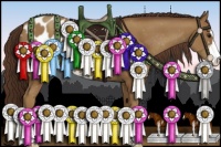 Horse Color:Classic Champagne Sabino Blanket 