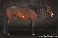Horse Color:Bay Roan Frame 