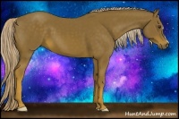Horse Color:Chocolate Palomino 