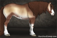 Horse Color:Red Onyx Sabino Rabicano 