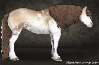 Horse Color:Blue Onyx Pearl Sabino Rabicano
