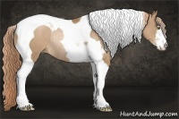 Horse Color:Liver Chestnut Pearl Sabino Tobiano Rabicano