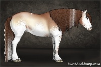 Horse Color:White Spotted Brown Pearl Onyx Sabino