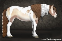 Horse Color:Red Onyx Pearl Sabino Tobiano Rabicano