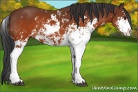 Horse Color:Brown Sabino