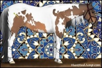 Horse Color:White Spotted Buckskin Tobiano 