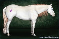 Horse Color:Sable Cream Champagne Pearl Dun Sabino Splash Rabicano 