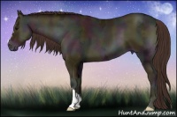 Horse Color:Midnight Classic Champagne Ice Onyx