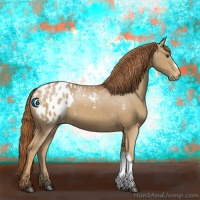 Horse Color:Chestnut Appaloosa 