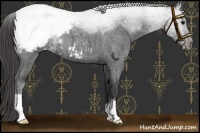 Horse Color:Smoky Blue Roan Snowcap 