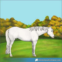 Horse Color:Cremello Roan Dun