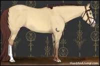 Horse Color:Chocolate Amber Champagne Dun 