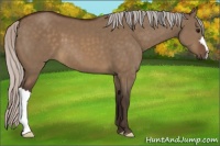 Horse Color:Silver Brown Dun 