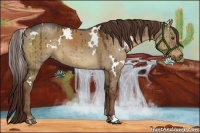 Horse Color:White Spotted Liver Red Dun