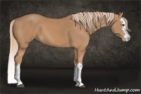 Horse Color:Chestnut Splash 