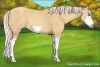 Horse Color:Silver Classic Champagne Dun Splash Frame 