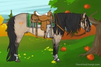Horse Color:Bay Dun  and Brown Dun 
