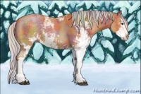 Horse Color:Nacre Silver Bay Sabino Splash 