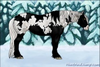 Horse Color:White Spotted Silver Brown Ice Dun Splash