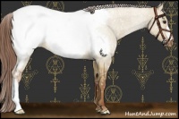 Horse Color:Red Dun Snowcap 