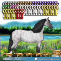 Horse Color:Grullo Roan 