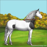 Horse Color:Smoky Black Splash Tobiano