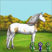 Horse Color:Silver Brown Roan Dun Splash Tobiano 