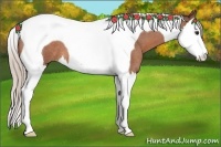 Horse Color:Silver Bay Roan Splash Tobiano 
