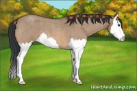 Horse Color:Bay Roan Dun Splash 