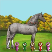 Horse Color:Silver Blue Roan 