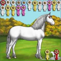 Horse Color:Bay Ice Dun Splash Tobiano 