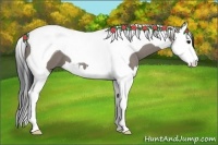 Horse Color:Grullo Splash Tobiano