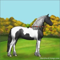 Horse Color:Black Tobiano 