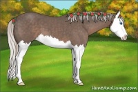 Horse Color:Silver Blue Roan Splash