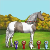 Horse Color:Silver Smoky Black Tobiano 