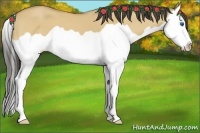 Horse Color:Buckskin Dun Splash 