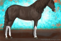 Horse Color:Liver Chestnut 
