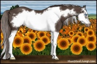 Horse Color:Liver Chestnut Splash Frame 