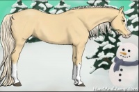 Horse Color:Palomino Roan Splash 